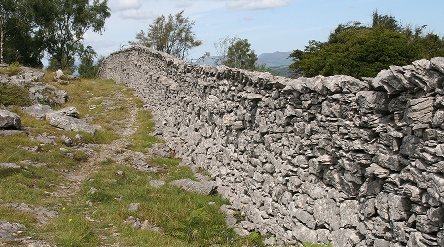 limestone-wall